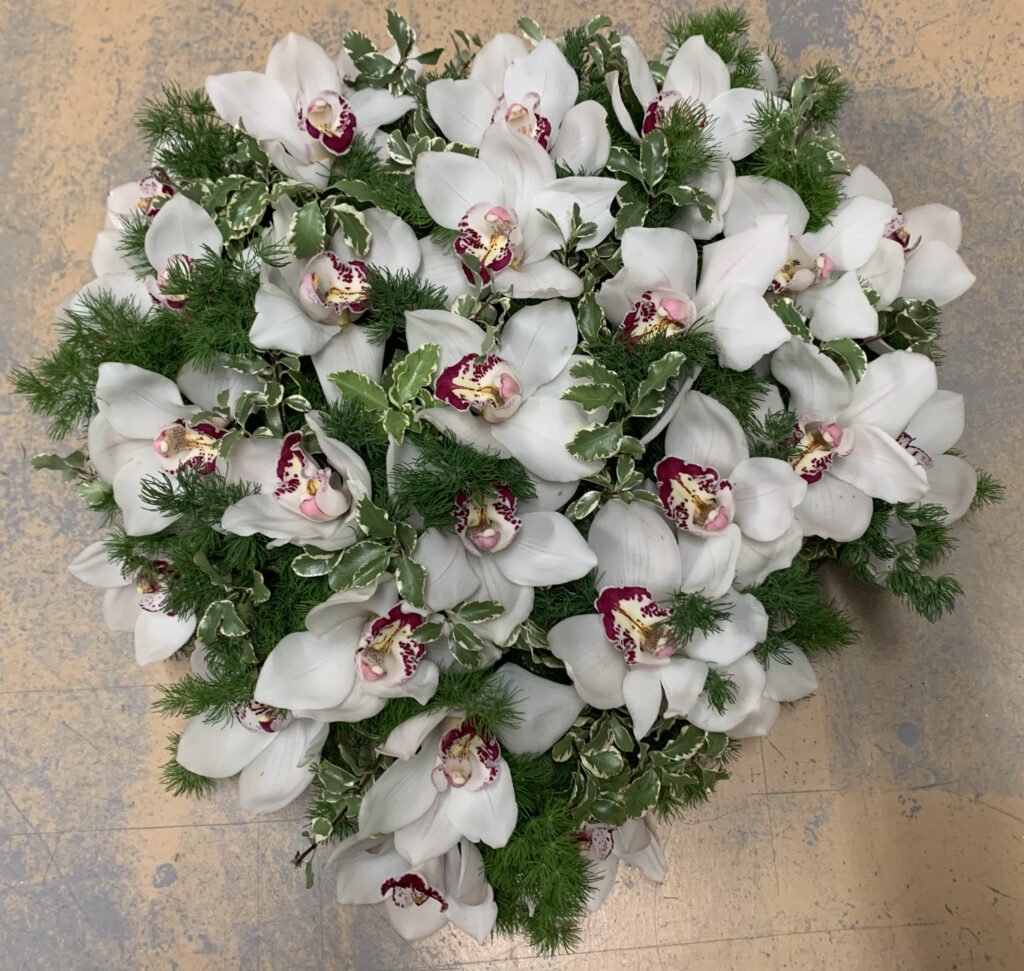 C Cuore 3 - orchidee