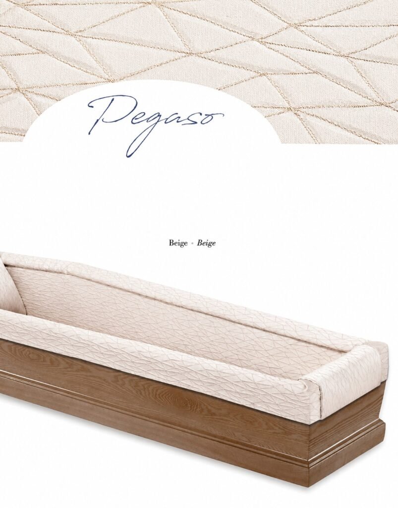 Pegaso