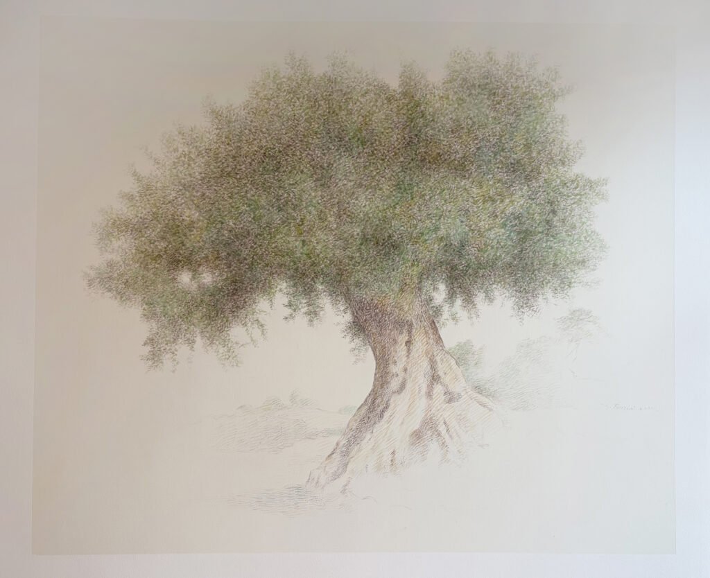 Casa funeraria: Sala ulivo 3
